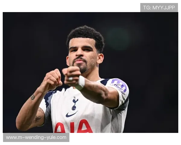 水晶宫俱乐部迎来新发展机遇 持续推动足球和社区融合建设