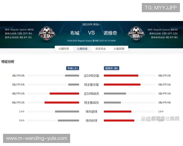 诺维奇足球俱乐部的发展历程与英超竞争力分析